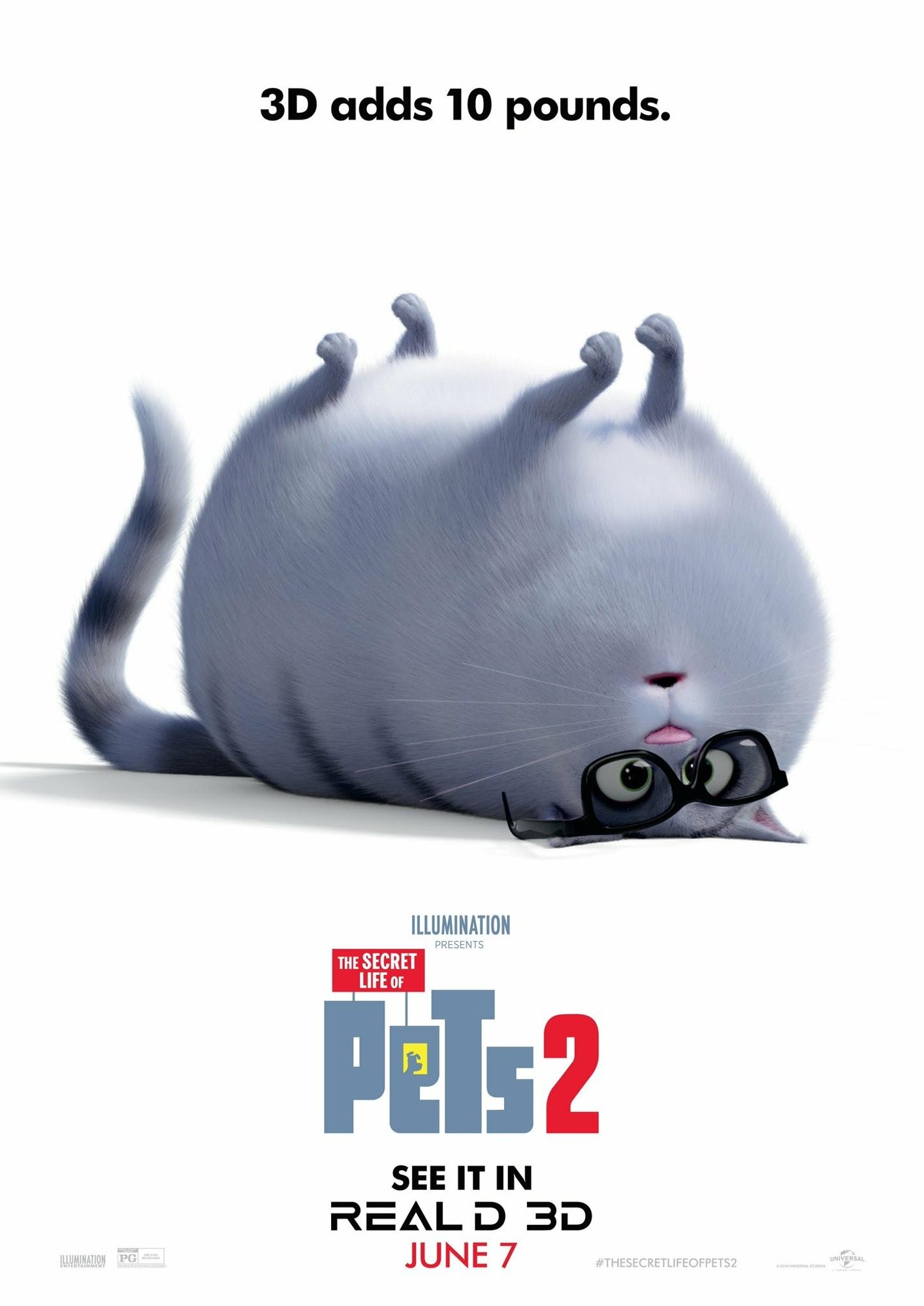 Poster of Universal Pictures' The Secret Life of Pets 2 (2019)