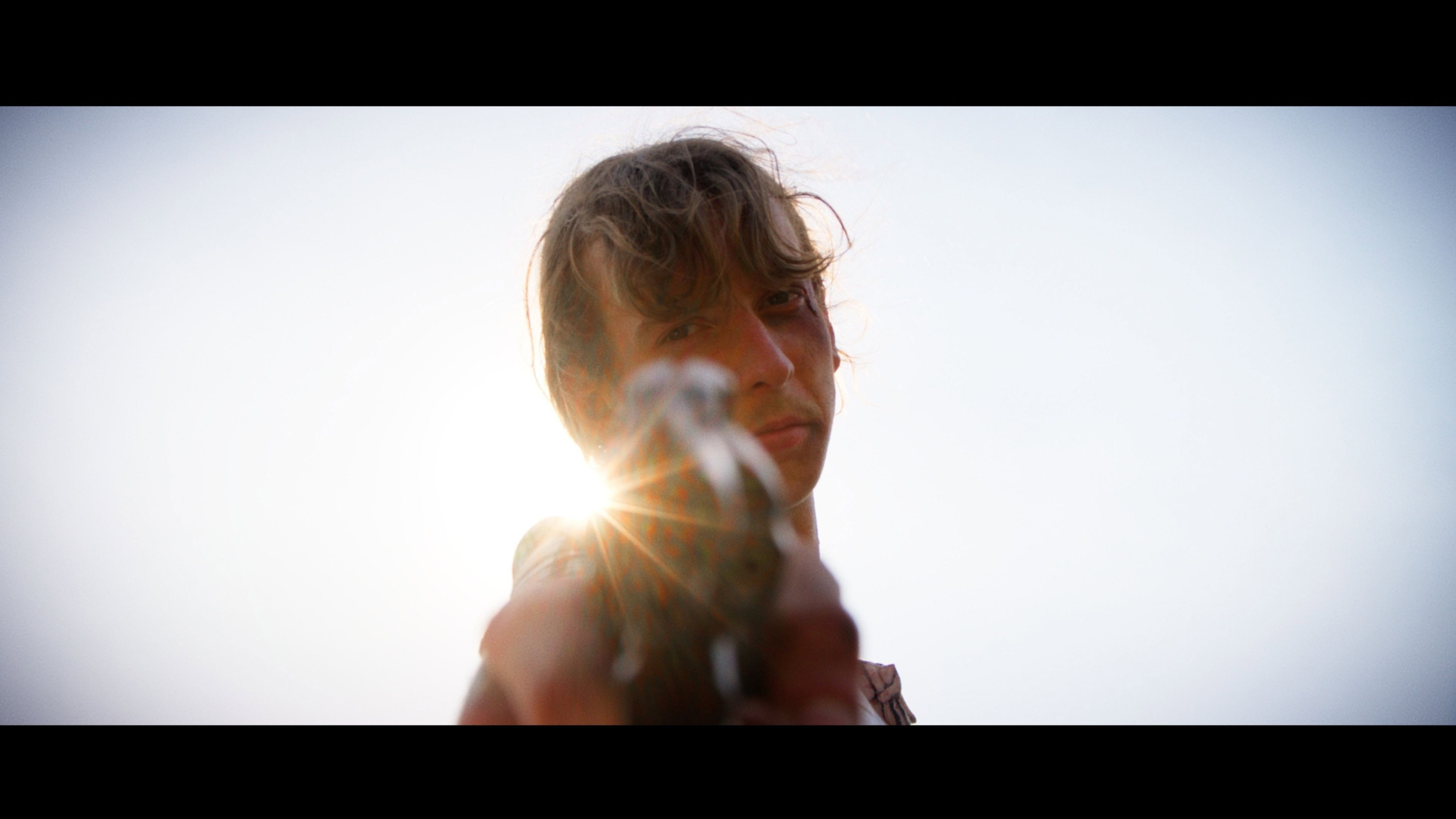 Reflex (2026)