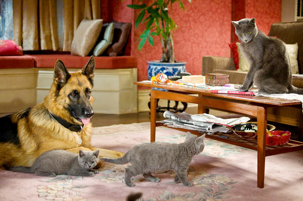 A scene from Warner Bros. Pictures' Cats & Dogs: The Revenge of Kitty Galore (2010)