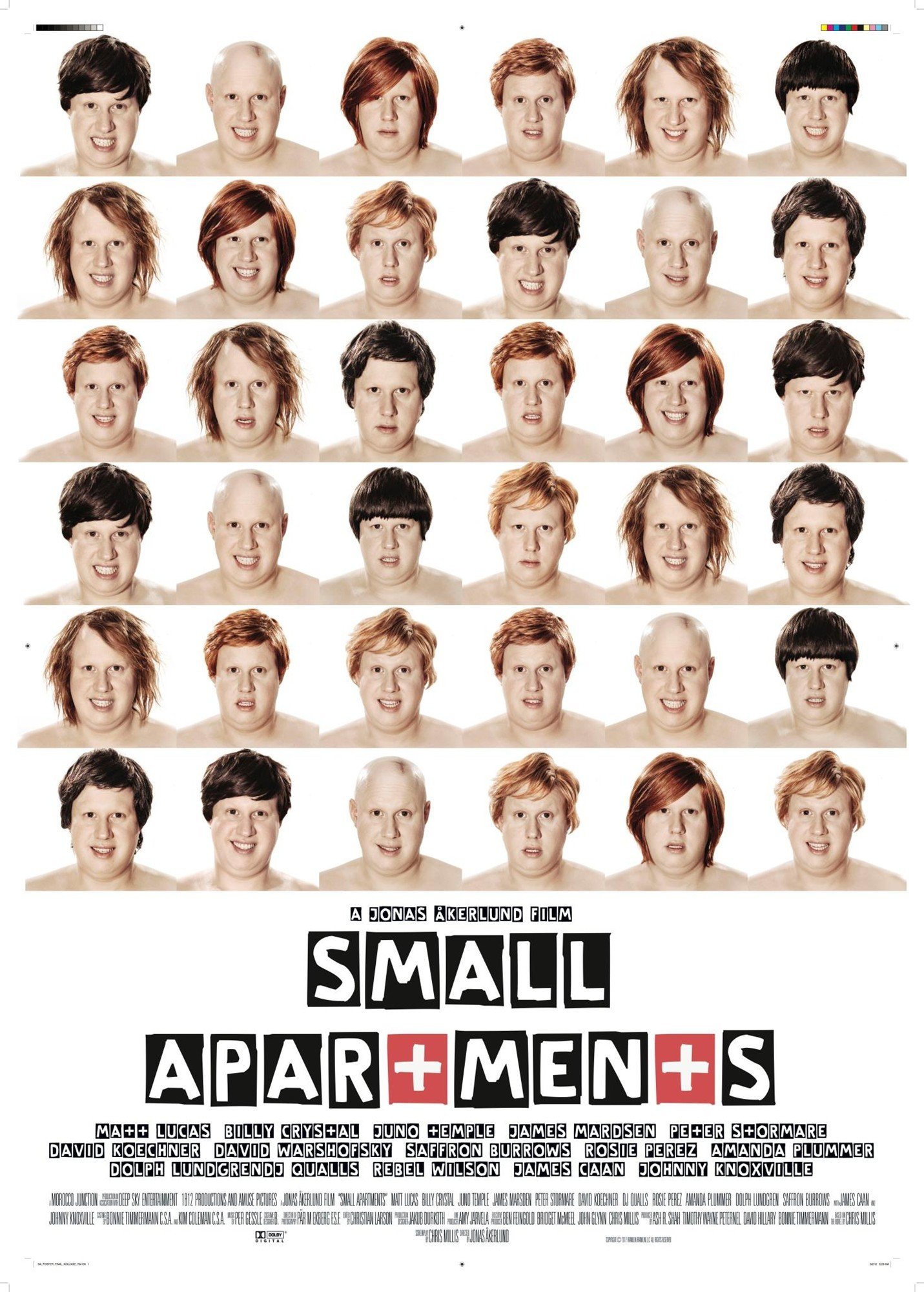 Poster of Sony Pictures Worldwide Acquisitions' Small Apartments (2013)