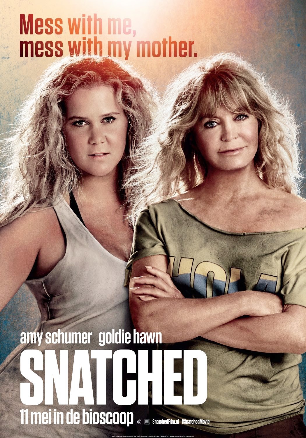 Poster of 20th Century Fox's Snatched (2017)