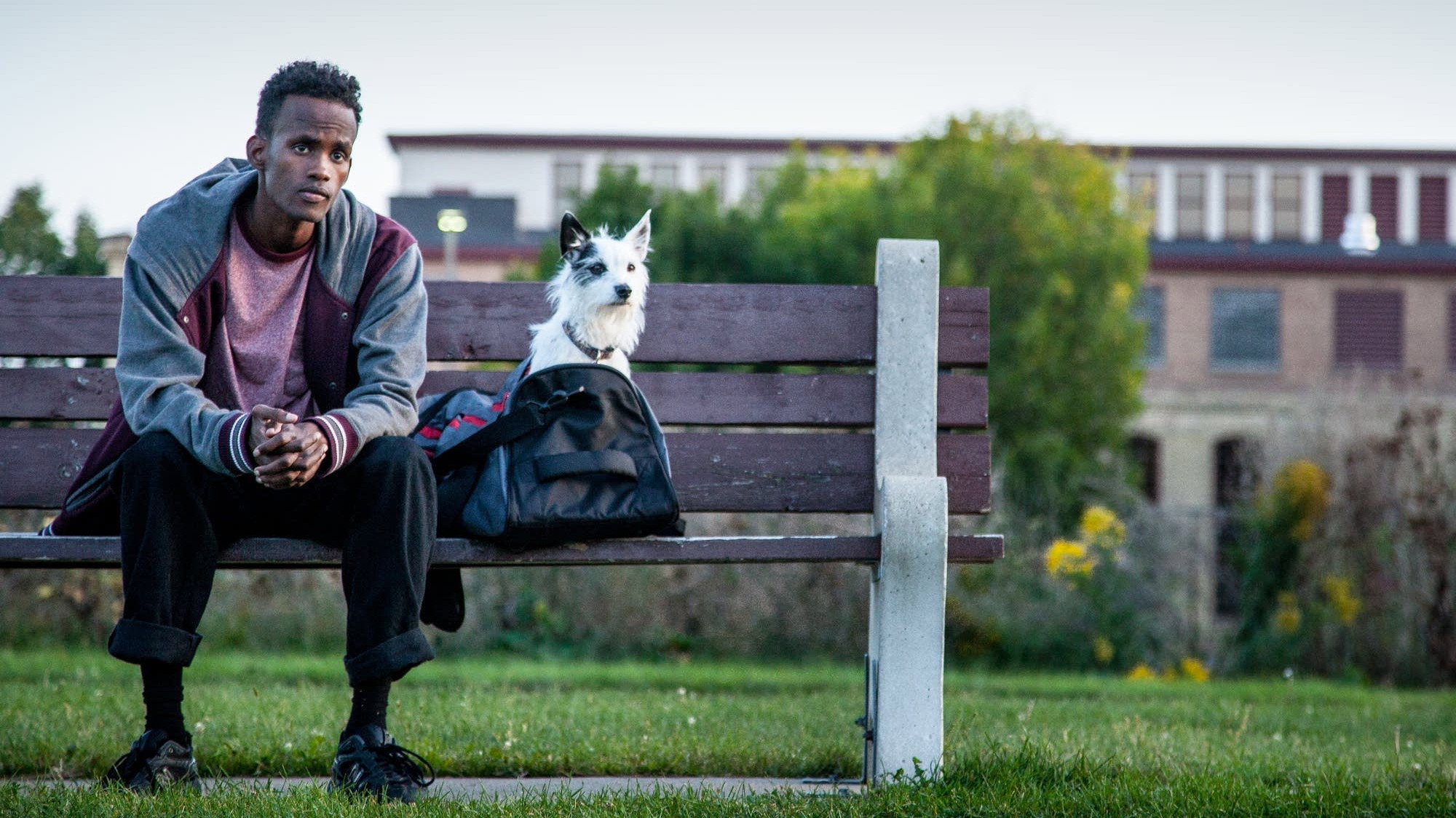Stray, A (2016)