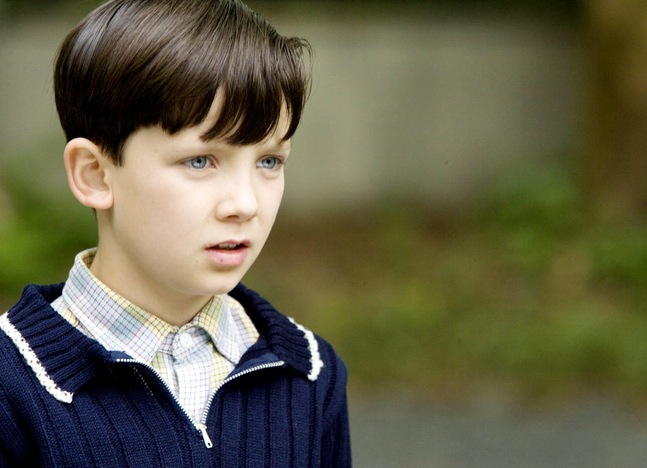 The Boy in the Striped Pajamas Picture 10.