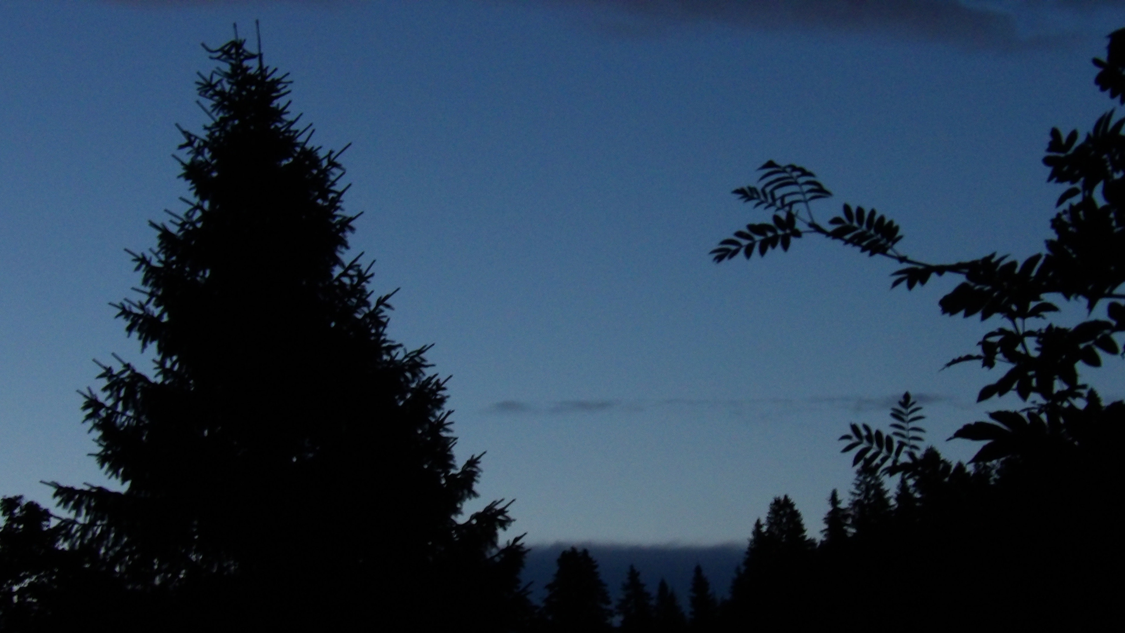The Blue Hour (2026)