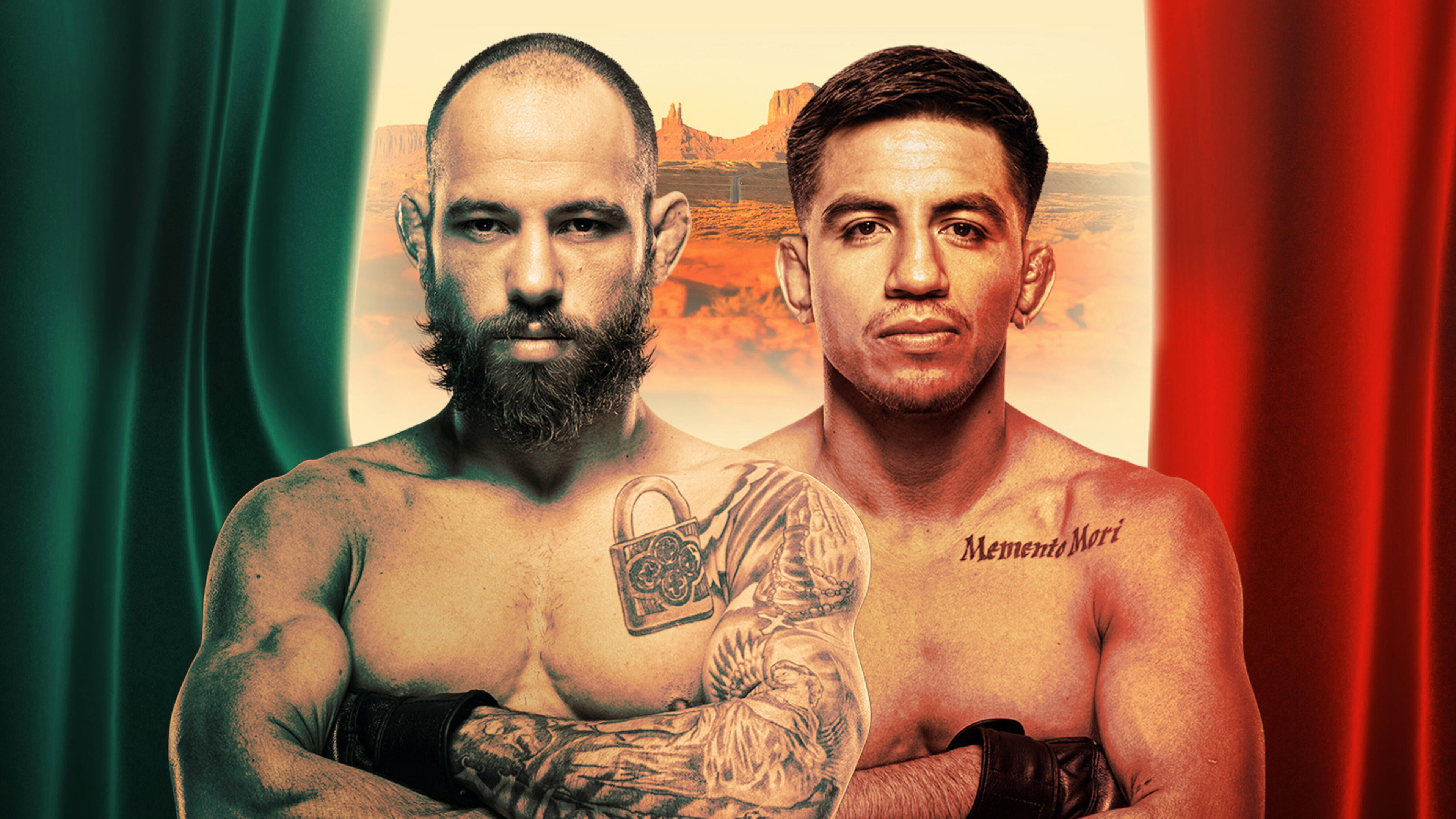 UFC Fight Night 288: Silva vs. Delgado (2026)