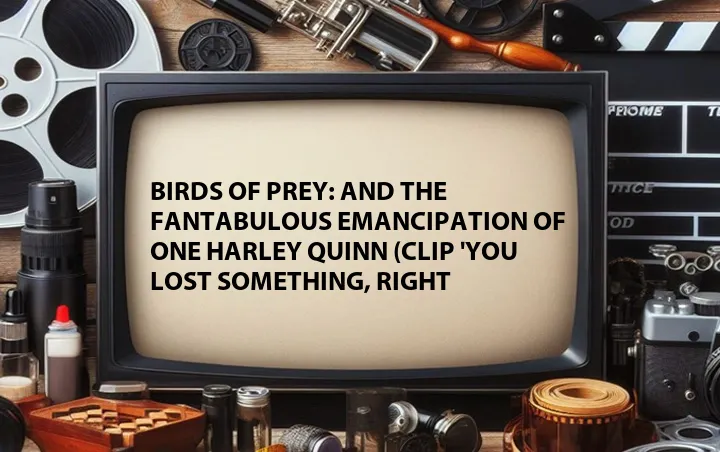 Birds of Prey: And the Fantabulous Emancipation of One Harley Quinn (Clip 'You Lost Something, Right