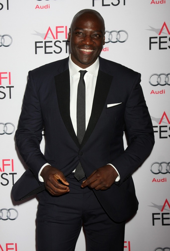 AFI FEST 2015 - Gala Premiere of Columbia Pictures' Concussion - Red Carpet Arrivals