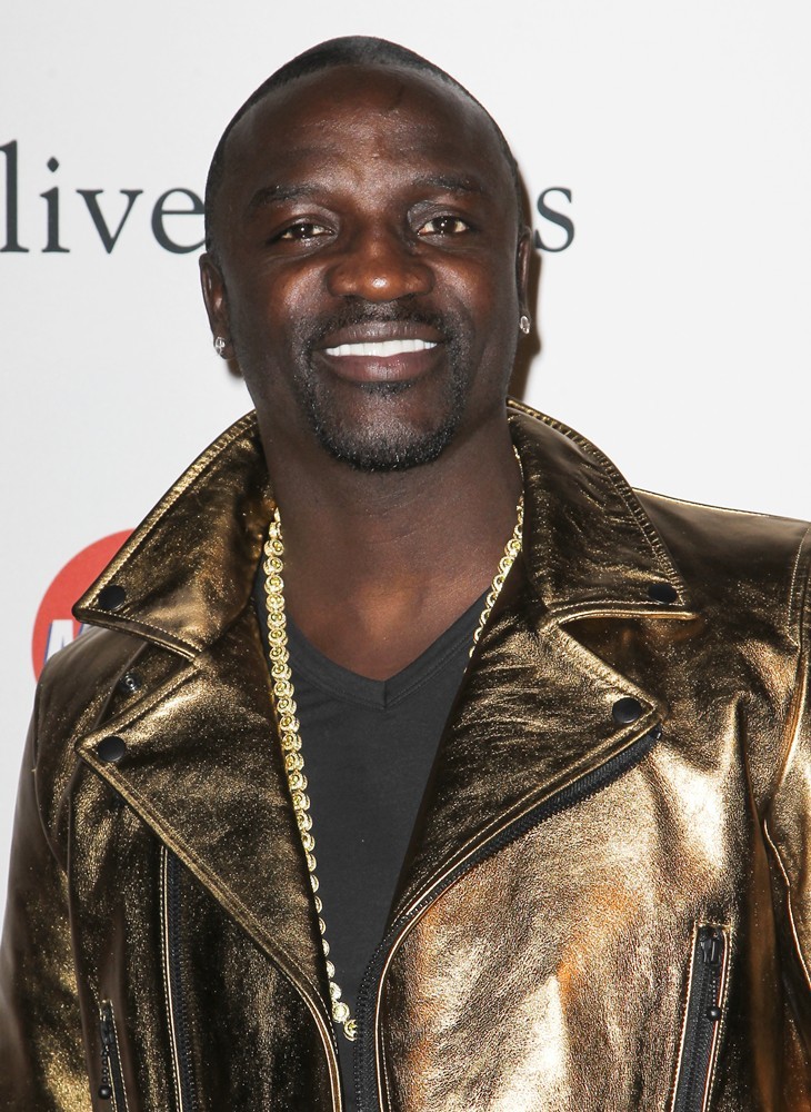 Clive Davis and The Recording Academy's 2013 Pre-Grammy Gala and Salute to Industry Icons