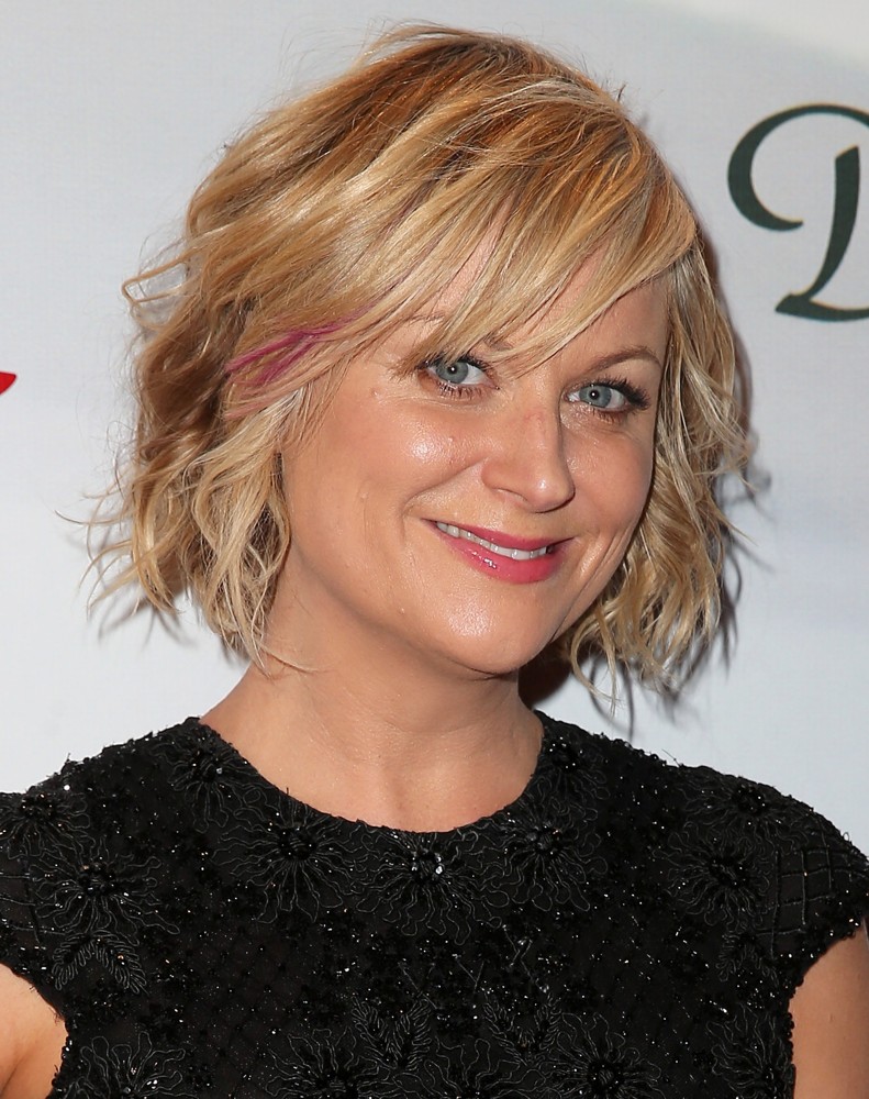 Amy Poehler Fake