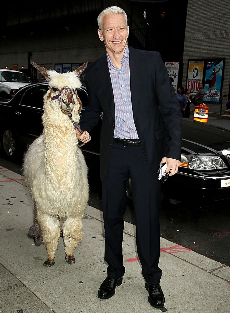 Anderson Cooper<br>Anderson Cooper at The Late Show with David Letterman with A Lama