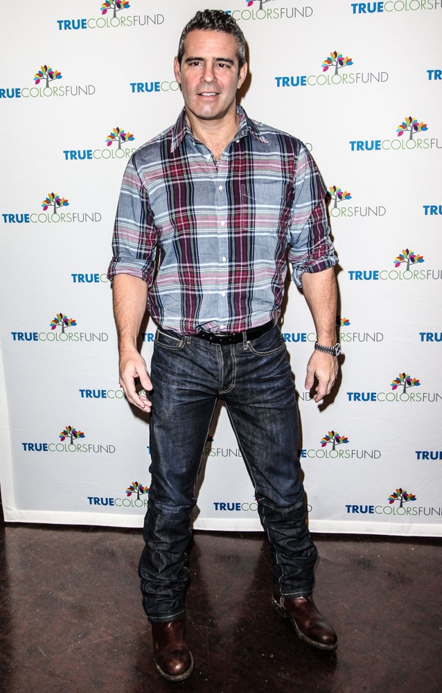 Cyndi Lauper and Friends: Home for The Holiday's Concert - Arrivals