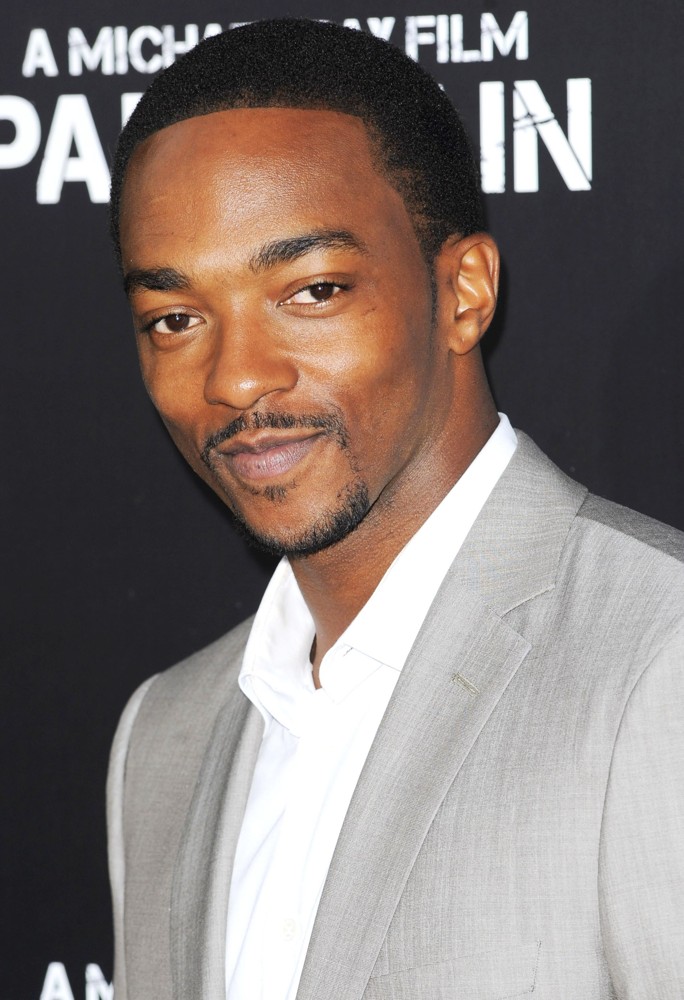 Los Angeles Premiere of Pain and Gain - Arrivals