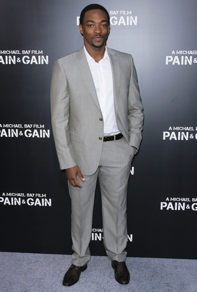 Los Angeles Premiere of Pain and Gain - Arrivals