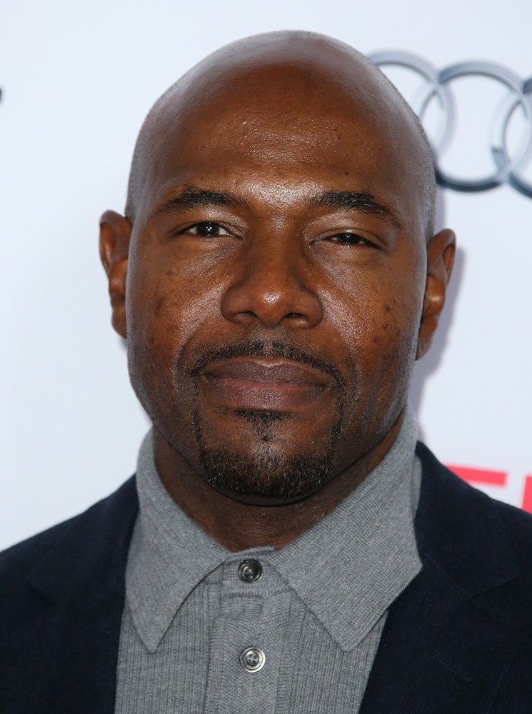 AFI FEST 2015 - Gala Premiere of Columbia Pictures' Concussion - Red Carpet Arrivals