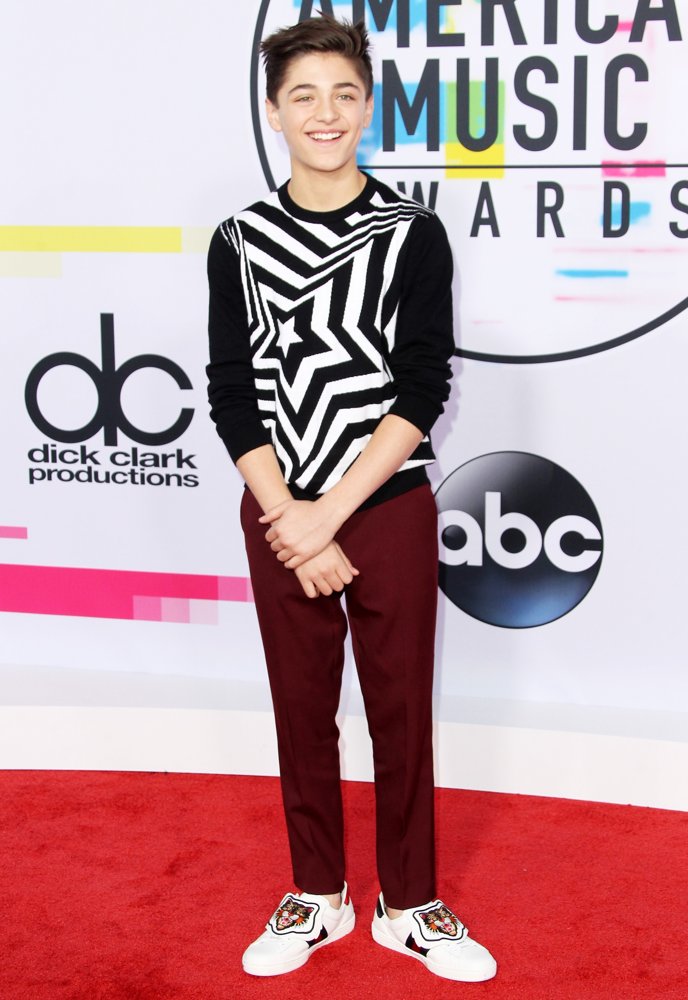2017 American Music Awards - Arrivals