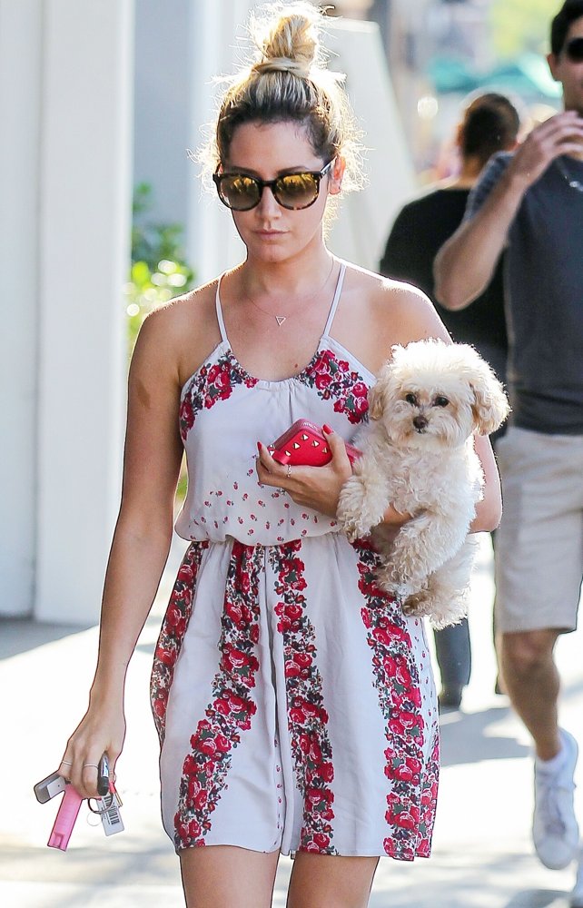 Ashley Tisdale Carries Her Dog Whilst Out in Studio City