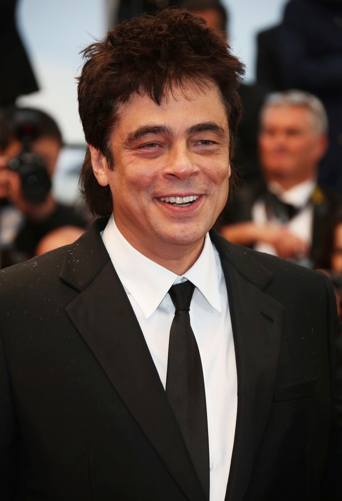 66th Cannes Film Festival - Jimmy P. Psychotherapy of A Plains Indian - Premiere