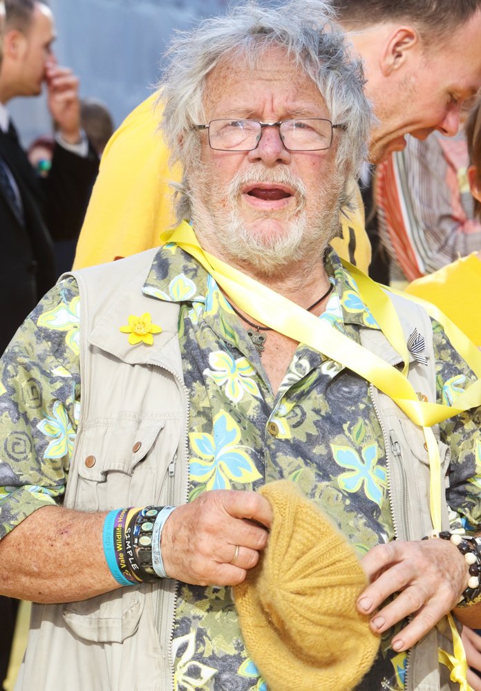 The World Premiere of Minions - Arrivals