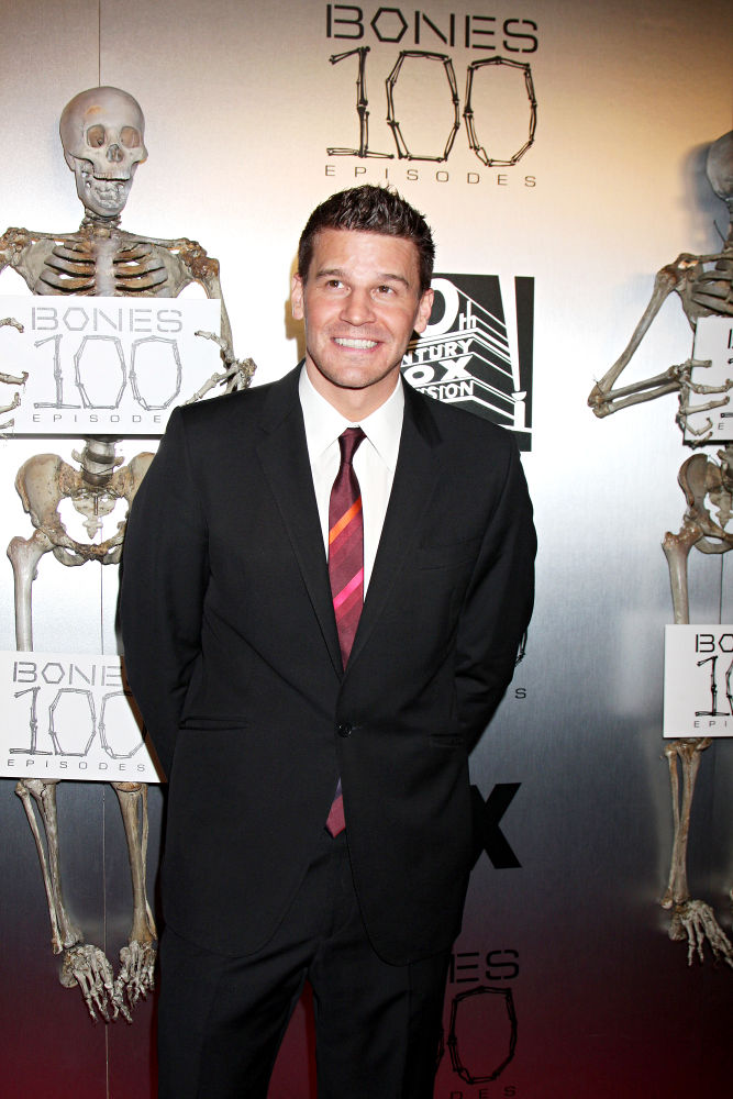 David Boreanaz's Mistress Angry at His Confession