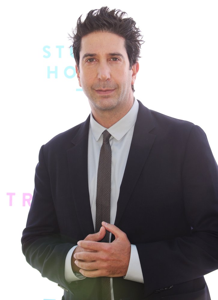 David Schwimmer;<br>The 2018 Rape Foundation Annual Brunch