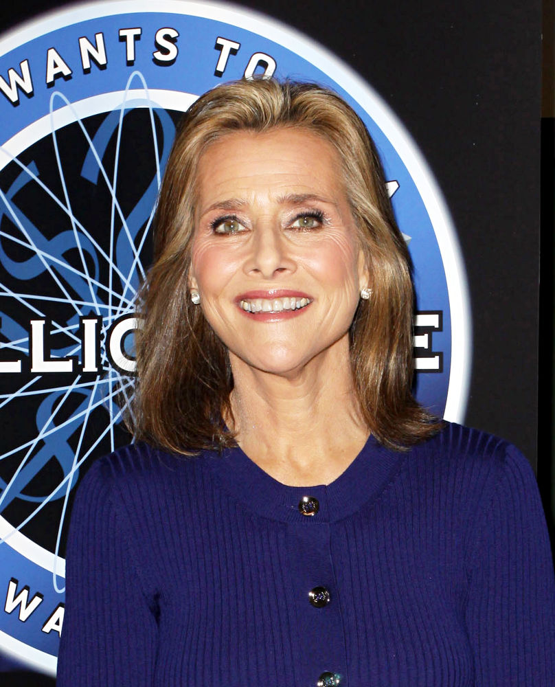 Meredith Vieira Fakes