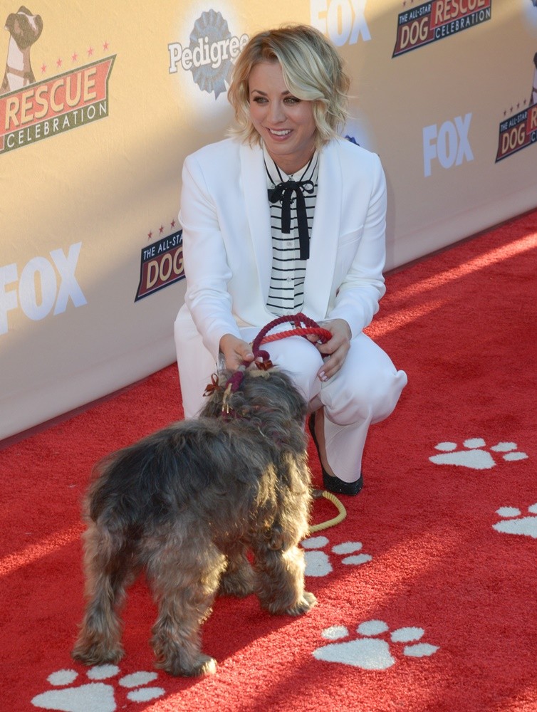 The All Star Dog Rescue Celebration - Arrivals