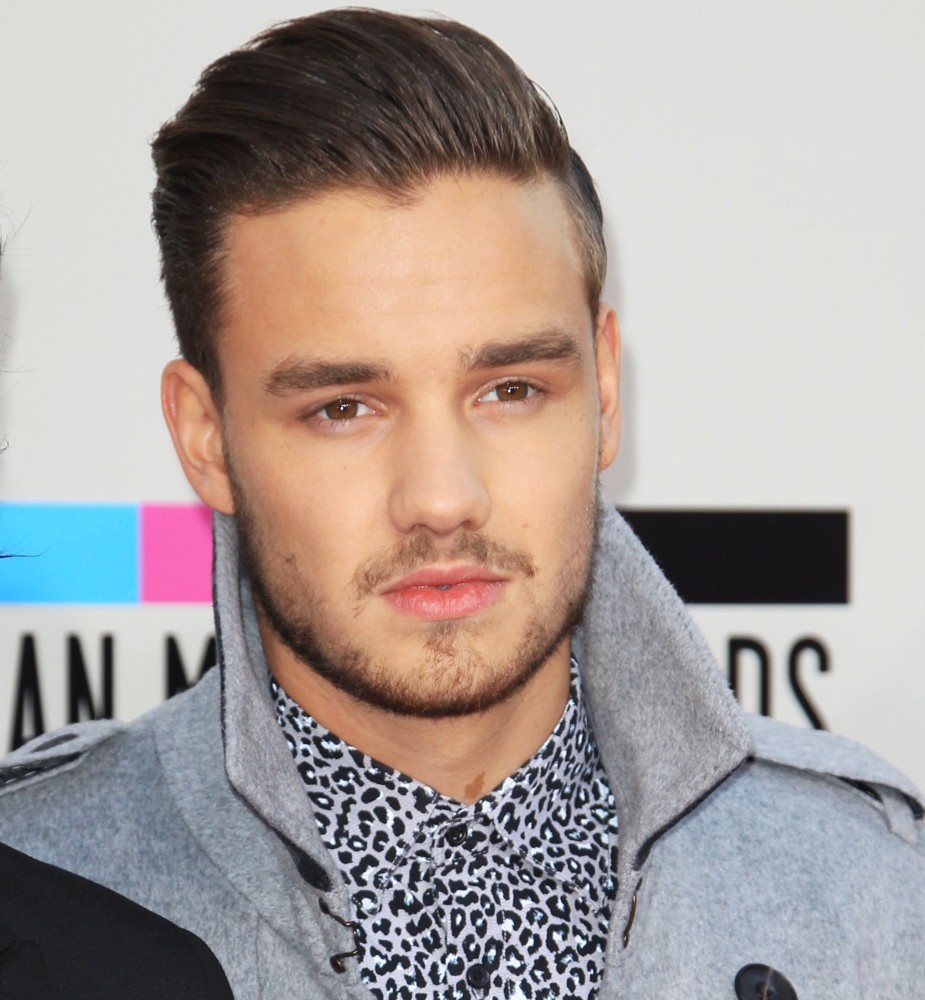 2013 American Music Awards Arrivals Picture 414