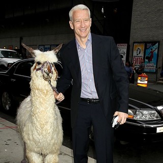 Anderson Cooper at The Late Show with David Letterman with A Lama