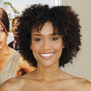 Los Angeles Premiere of Jumping the Broom
