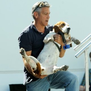 George Clooney and Amal Alamuddin Take Their Hound Dog on The Set of Suburbicon