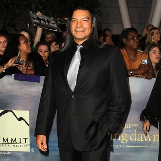 The Premiere of The Twilight Saga's Breaking Dawn Part II