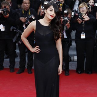 The 67th Annual Cannes Film Festival - The Homesman - Premiere Arrivals