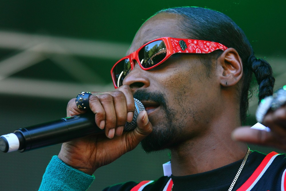 Музыка снуп дог слушать. Snoop Dogg. Снуп дог. Снуп Догг. Snoop Dogg картина.