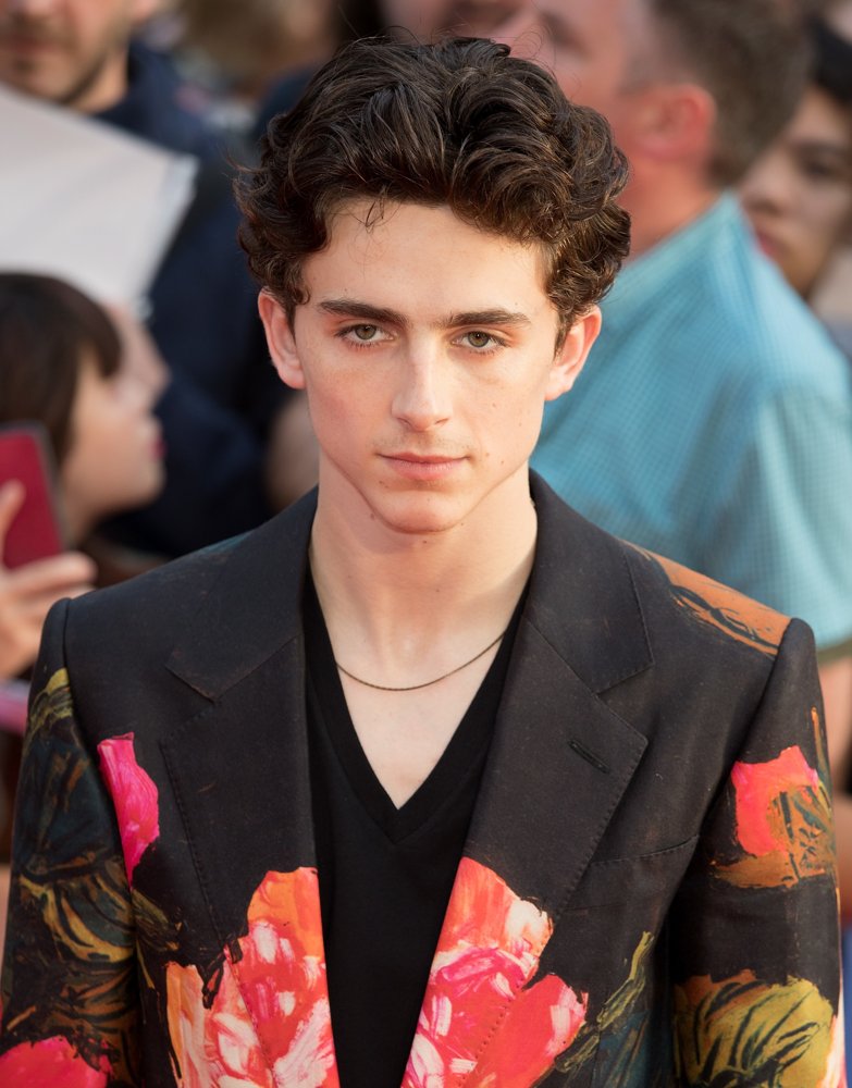 The BFI 62nd London Film Festival World Premiere of Beautiful Boy - Arrivals