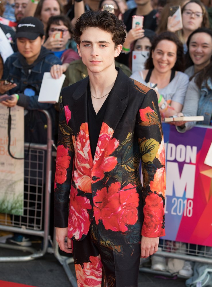 The BFI 62nd London Film Festival World Premiere of Beautiful Boy - Arrivals
