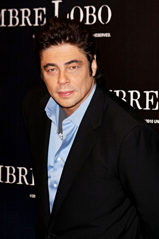 Benicio Del Toro to Leave Acting for Directing