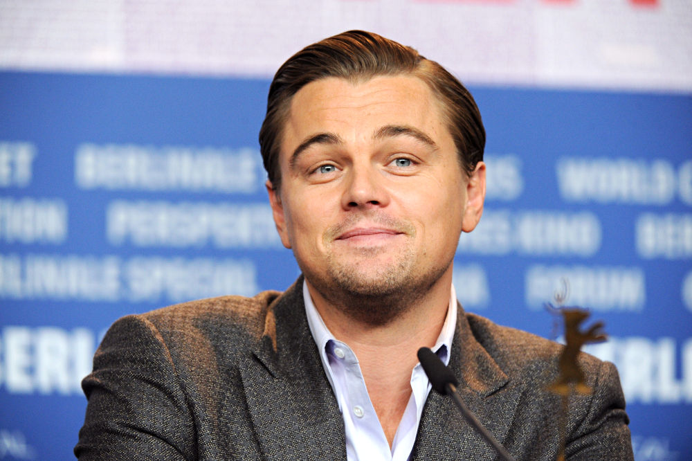 Leonardo DiCaprio's Attacker Alters Not Guilty Plea for Shorter Jail Time