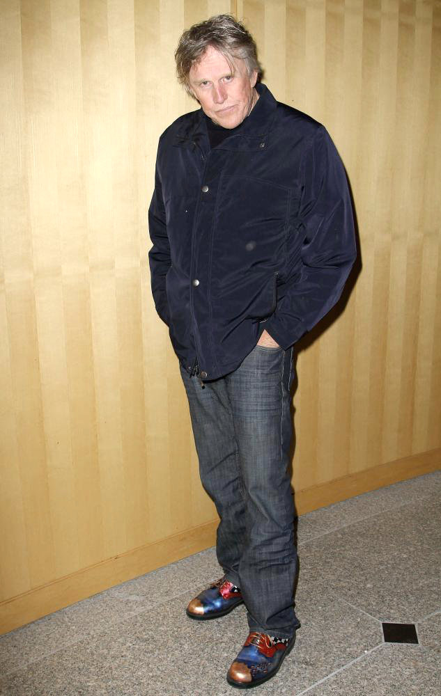 Gary Busey Wants to Aid Others Identify Hearing Disabilities
