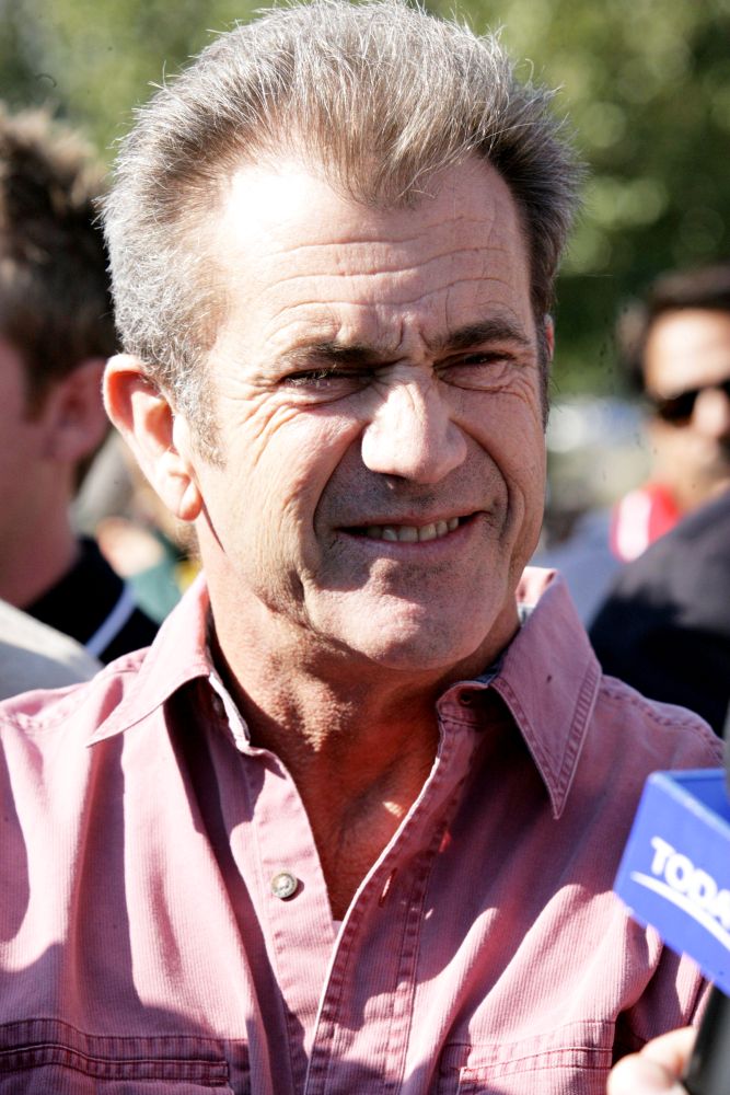Mel Gibson Surrendered an Arsenal of Weapons in Summer