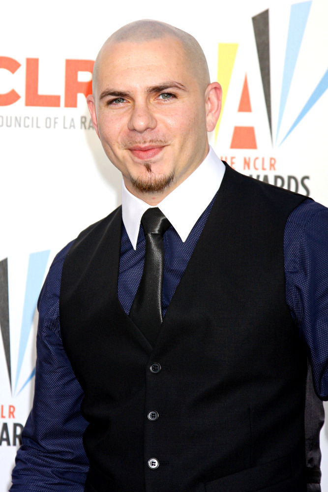 Pitbull Supports Rally Against Gun Violence