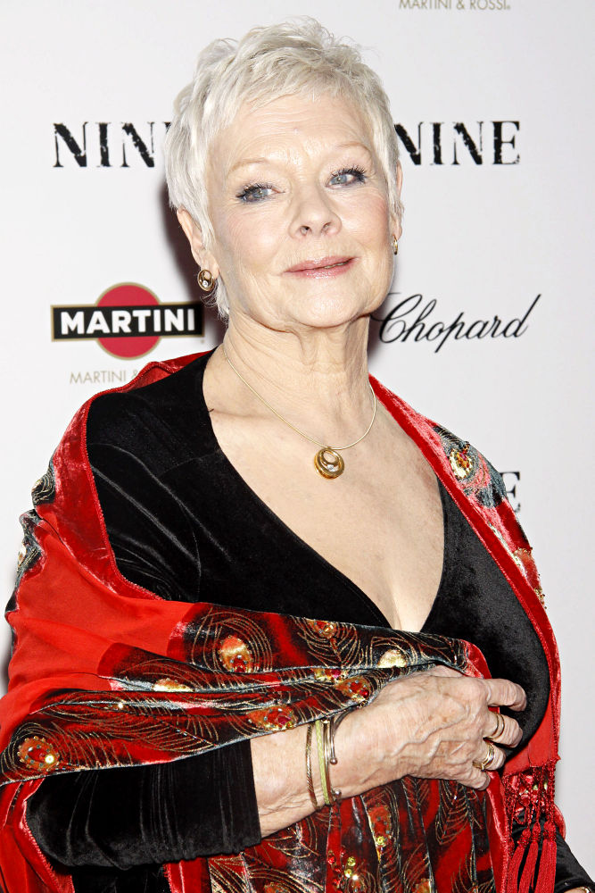 Judi Dench Against the Building of Soccer Screen in London's Park