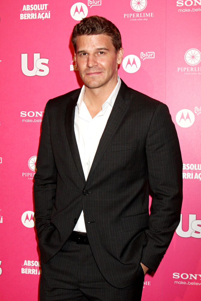 David Boreanaz in 'Sincere Pain' After Admitting Infidelity