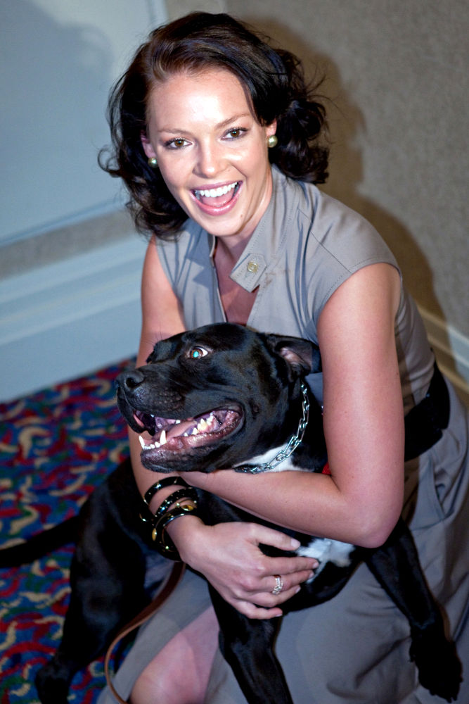 Katherine Heigl Donates a Million to Spay and Neuter Pets